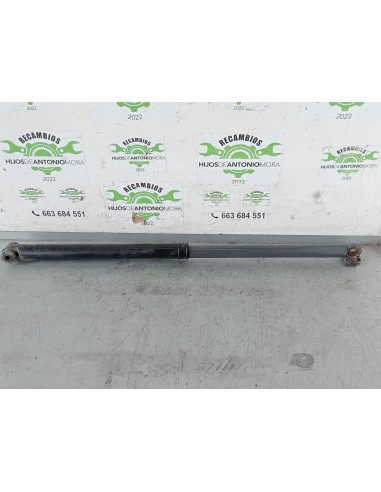 [105006] BOTELLA ELEVAR CABINA - DAF SERIE XF...