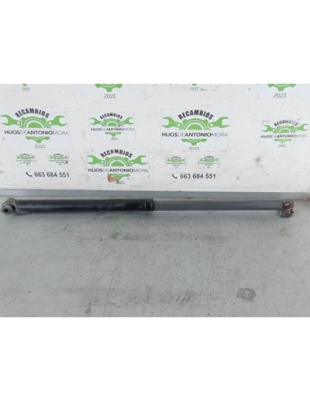 [105006] BOTELLA ELEVAR CABINA - DAF SERIE XF EURO 6 (01/2013 - ...)