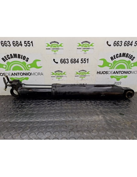 [101105] BOTELLA ELEVAR CABINA - VOLVO FM 7 290/310 213/228 KW E2/3