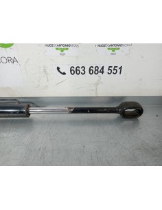 [99486] BOTELLA ELEVAR CABINA - MAN 12.224 2