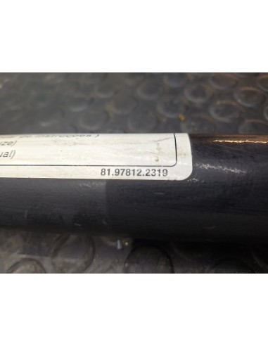 [99473] BOTELLA ELEVAR CABINA - MAN TGX 35.XXX...