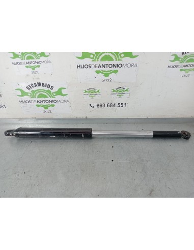 [101611] BOTELLA ELEVAR CABINA - SCANIA SERIE 4...