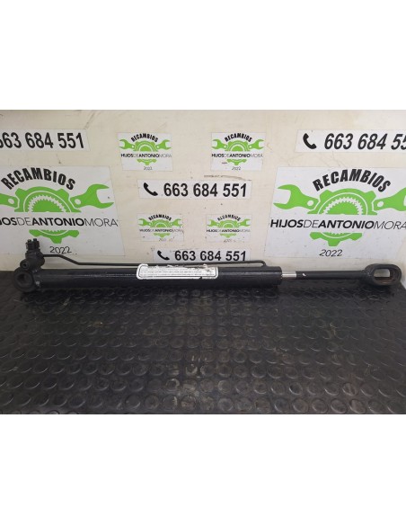 [102362] BOTELLA ELEVAR CABINA - MAN TG - L 12.XXX (01/2005 - 12/2020)