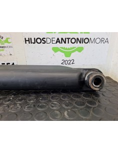 [102828] BOTELLA ELEVAR CABINA - RENAULT SERIE T (01/2013... 2