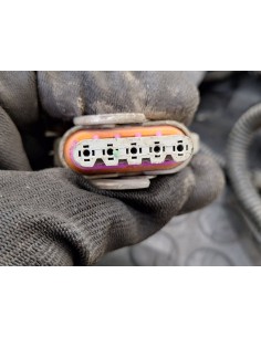 [103229] CABLEADO MOTOR - RENAULT MIDLUM (01/2000 - 12/2013) 2