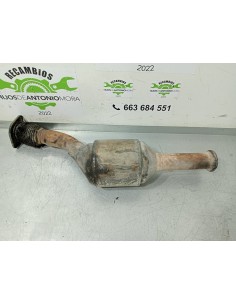 [98319] CATALIZADOR - RENAULT TRAFIC CAJA CERRADA (AB 4.01)