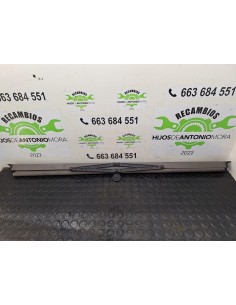 [101069] CORTINA DELANTERA IZQUIERDA - DAF SERIE...