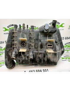 [91579] DEPOSITO EXPANSION - DAF SERIE XF105.XXX (01/2006... 2