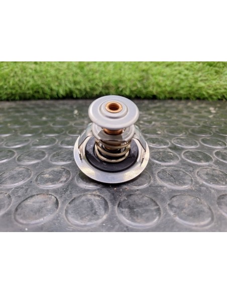 [101783] TERMOSTATO - AUDI A4 BERLINA (B5) (01/1999 - 01/2000)